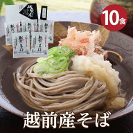【最短当日出荷】手土産 ギフト 贈り物 お返し 福井県産そば粉使用！「越前産そば10食」年間48,758食完売…