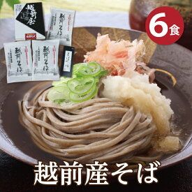 【P10倍！超ポイントバック祭期間】お歳暮 年越し 越前そば 福井県産そば粉使用！「越前産そば6食」日本ギフト大賞受賞♪　年間48,758食完売！甘みが断然違う当店でしか味わえない極上蕎麦！越前そば ギフト 内祝い ご挨拶 武生製麺