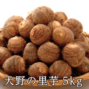 lCIH̖oYnIu̗v  ʌ Ԍ 