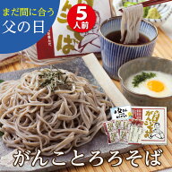 【まだ間に合う】父の日 がんこそば 送料無料 老舗そば屋の父の日ギフト！グルメ大賞受賞！「がんことろ…