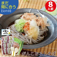 【まだ間に合う】父の日 父の日ギフト ギフト 三木谷社長大絶賛！ 「がんこ辛味おろしそば8食」届いてす…