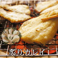 一口サイズで食べやすい♪炙りカレイ【干物】【カレイ】