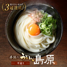 鍋焼うどん うどん 手延うどん 素兵衛屋 【どちらか選べる】 平造りうどん【うどん400g あごだし 粉末スープ 付】 または 【うどん600g】 送料無料 【お試し商品】 産地直送 冷しぶっかけ ざるうどん 肉うどん ポイント消化 お取り寄せグルメ 人気