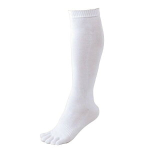 yyΉzZETT([bg) 싅 BK035-1100 x[X{[ 3P5{w\bNX zCg