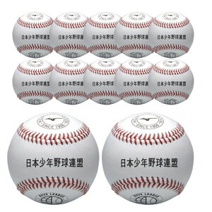�~�Y�m (MIZUNO) ���N�싅 �d���p�{�[�� �{�[�C�Y���[�O������ 1�_�[�X 12�� 12�� (23ss) �z���C�g 1BJBL70500-12P