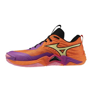 ����J���[ �~�Y�m (mizuno) �o���[�{�[���V���[�Y WAVE MOMENTUM ELITE �E�F�[�u���[�����^���G���[�g (26aw) ���b�hx�p�[�v�� 22.5-31.0cm V1GA251281