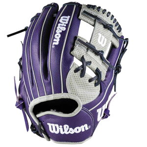 �E�B���\�� (wilson) �싅 ��O���[�u Wannabe Hero DUAL ���i�r�[�q�[���[�f���A�� �����p 1723�^ (25aw) �O���[SCx�p�[�v��SS �T�C�Y11.75 WBW103798