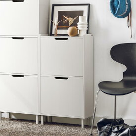 SoBuy シューズボックス 薄型 靴箱 下駄箱 スリム 幅50*奥19*高さ91cm 大容量 省スペース 木製 シューズラック 靴 収納 靴棚 玄関収納 靴入れ シューズキャビネット 玄関ベンチ （FSR151-W）