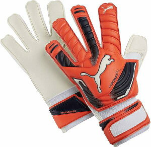 i@v[}@puma-040998-30@GEJHp[@2@Obv@RC GK@L[p[@O[u@