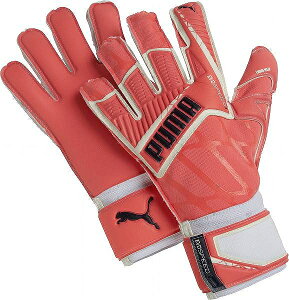 i@X|bg@v[}@puma-041169-01@GEJHXs[h@3D4@GK@L[p[@O[u