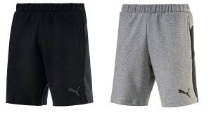 v[}@2017SS@ puma-592768@EVOSTRIPE hC xg n[t@pc