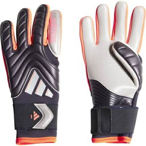 i@AfB_X@2024FW@IS7584@JSX56@Rp@v@ L[p[@O[u@GK@