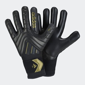 i@AfB_X@2024FW@IX3828@JSX56@Rp@v@ L[p[@O[u@GK@