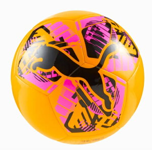 �v�[�}�@ puma-084937-04�@�r�b�O�@�L���b�g�@�T�b�J�[�@�{�[���@4��
