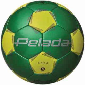 e F5K4000GY y[_4000 5Ή