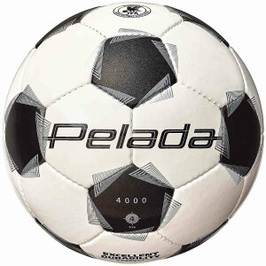 �����e�� F4K4000 �y���[�_4000 4��