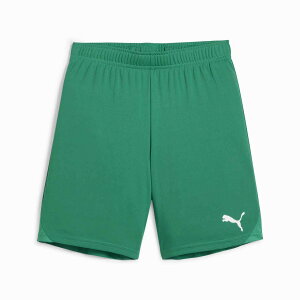 v[} PMJ-706376-05 05 teamGOAL Q[V[c Jr (05)Sport Green-PUMA White YEjZbNX