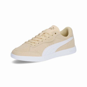 �v�[�} PMJ-403507-03 03 �r�b�L�[ �X�^�[ SD (03)Canvas-PUMA White-PUMA Gold ���f�B�[�X
