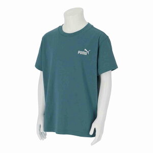 �v�[�} PMJ-687757-41 41 ESS SMALL NO. 1 ���S �����b�N�X T�V���c B (41)Emerald Ice �W���j�A