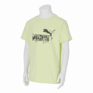 �v�[�} PMJ-694227-38 38 ESS CAMO T�V���c B (38)Apple Spritz �W���j�A