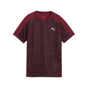 �v�[�} PMJ-529881-23 23 TAD ESS AOP Poly Tee B (23)Garnet Glow �W���j�A