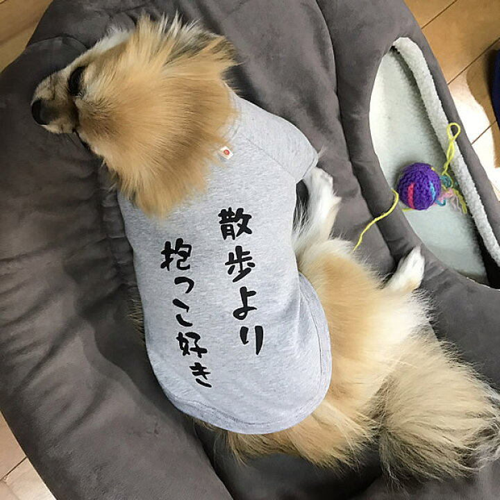 楽天市場 散歩より抱っこ好き Tシャツ 日本製ドッグウェア ペットウェア 小型犬用品 Dogwear いぬ用 ワンちゃん用 かわいい犬 の洋服 紫外線 暑さ 夏用 夏服 犬の服 インスタ映え オリジナルドッグウェア 柿沼無地 ユニフォームファクトリー