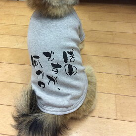 楽天市場 イチロー ペット ペットグッズ の通販