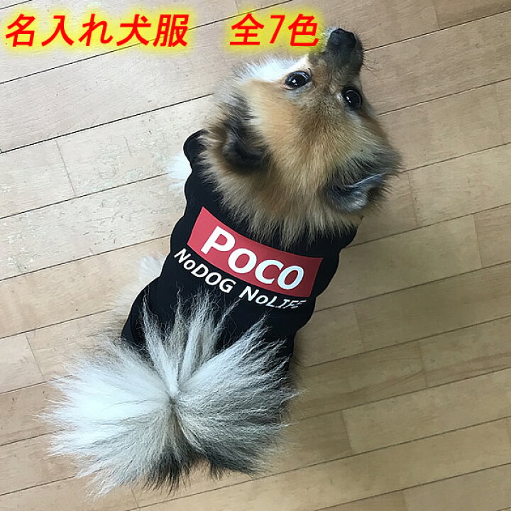 楽天市場 Supreme風名入れtシャツ Nodog Nolife 愛犬のお名前入りtシャツ 日本製ドッグウェア 全7色 ペットウェア 小型犬 用品 Dogwear いぬ用 ワンちゃん用 犬の服 散歩 応援 犬服 シュプリーム風 オリジナルドッグウェア 柿沼無地 ユニフォーム