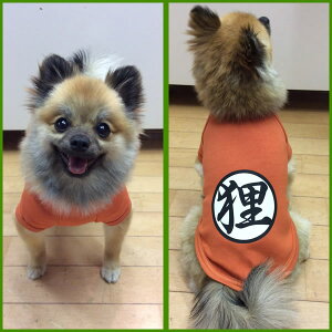楽天市場 ドラゴンボール風修行服 道着 漢字tシャツ 日本製ドッグウェア ペットウェア 小型犬用品 Dogwear いぬ用 ワンちゃん用 かわいい犬の 洋服 世界にたった１枚だけの オリジナル 犬の服 散歩 オリジナルドッグウェア 柿沼無地 インスタ映え