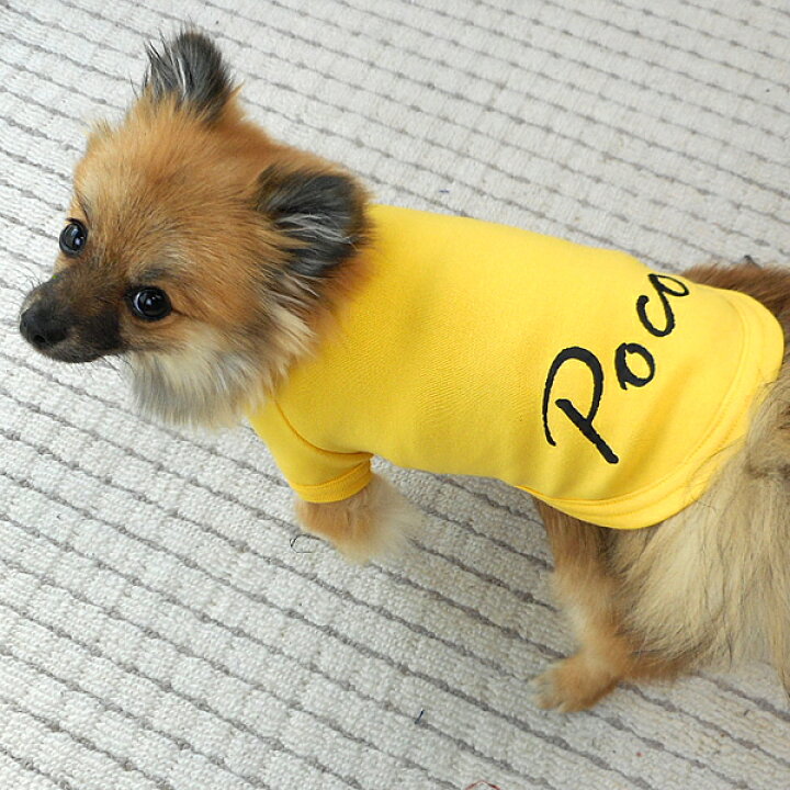楽天市場 愛犬のお名前入りイタリア風フォントtシャツ 日本製ドッグウェア ペットウェア ドッグウエア 小型犬 用品 Dogwear いぬ用 ワンちゃん用 かわいい犬の洋服 紫外線 暑さ 夏用 夏服 犬の服 散歩 応援 オリジナルドッグウェア 柿沼無地 ユニフォーム