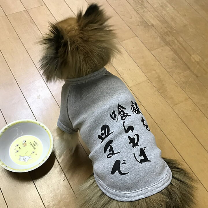 楽天市場 飯を喰らわば皿まで 毒を食らわば皿まで ことわざ 諺tシャツ 日本製ドッグウェア ペットウェア 小型犬用品 Dogwear いぬ 用 ワンちゃん用 かわいい犬の洋服 紫外線 暑さ 夏用 夏服 犬の服 ぬののふく オリジナルドッグウェア 柿沼無地