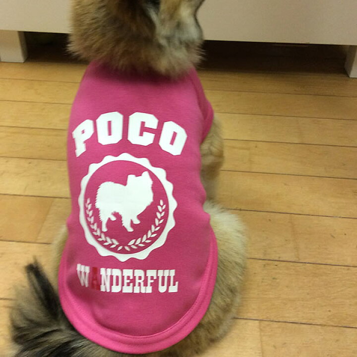 楽天市場 Wanderful ワンダフルドッグウェア 名前 犬種イラスト 入りtシャツ 日本製ドッグウェア ペットウェア 小型犬用品 Dogwear いぬ用 ワンちゃん用 かわいい犬の洋服 世界にたった1枚だけの オリジナル 散歩 オリジナルドッグウェア 柿沼 無地 楽天市場 Wanderful ワンダフルドッグウェア 名前 犬種イラスト 入りtシャツ 日本製ドッグウェア ペットウェア 小型犬用品 Dogwear いぬ用 ワンちゃん用 かわいい犬の洋服 世界にたった1枚だけの オリジナル 散歩 オリジナルドッグウェア 柿沼 無地