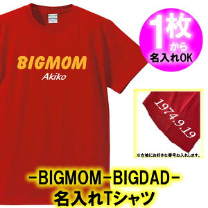 yzBIGMOM BIGDAD  TVcTCY 90cm-4LIWi Vc   Mtg a oYj ̓ ̓ lC җ hV̓ Vu {n t@C^[Y kC