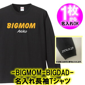 yzBIGMOM BIGDAD  T TVcTCY XS-3LIWi Vc   Mtg a oYj ̓ ̓ lC җ hV̓ Vu {n t@C^[Y 