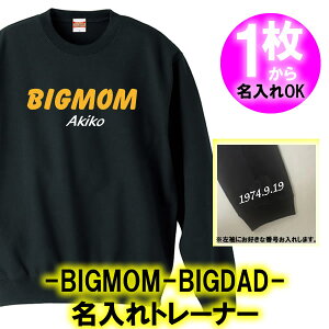 yzBIGMOM BIGDAD  TVc  g[i[TCY 110cm-3LIWi Vc   Mtg a oYj ̓ ̓ lC җ hV̓ Vu {n 