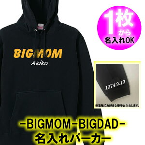 yzBIGMOM BIGDAD  p[J[ t[hTCY 110cm-3LIWi Vc   Mtg a oYj ̓ ̓ lC җ hV̓ Vu {n t@C^