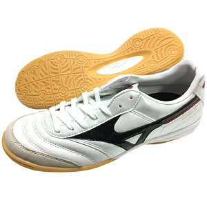 ~Ym@MIZUNO@AIN@tbgT@V[Y@V[Y@ChAV[Y@zCg×ubN@Q1GA1700 09