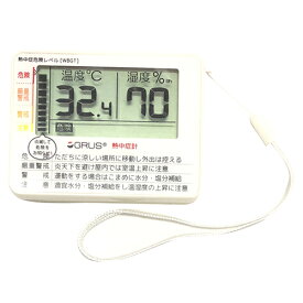 エバニュー　EVERNEW　熱中症計　ホワイト　温度計　湿度計　WBGT　EKJ120