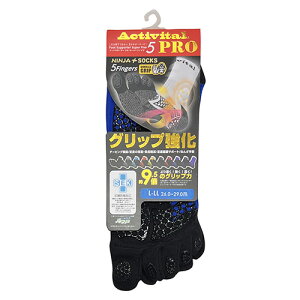 ANeBoC^@Activital@PROt@Cu@u[@TbJ[@tbgT@5{w@\bNX@TbJ[XgbLO@C@HRD1065 HRD1066 BU