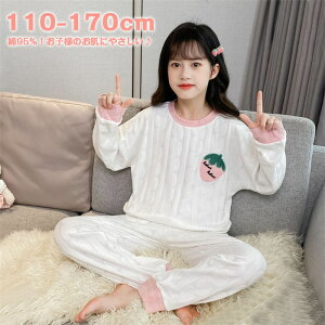 yԌI10%OFFszpW} LbY [EFA z ̎q 95% ㉺Zbg cotton 110 120 130 140 150 160 170  sNTVc  q q 킢 t  H 