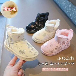 LbY [gu[c ̎q {A K[Y qp Xm[u[c N} LL xr[C ӂӂ  WjA V[gu[c g N ~ [g u[c j Mtg 