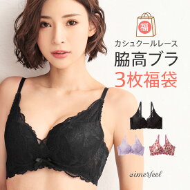 ブラジャー 福袋【送料無料】カシュクールレース脇高ブラ(R) 3枚入福袋 下着セット ブラジャー 育乳 下着 福袋 aimerfeel エメフィール 下着 レディース 女性 バストアップ 谷間 脇高ブラ 脇肉 ブラセット 下着 福袋 産後 補整 いくにゅうぶら 2020