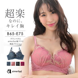 【30％OFFクーポン】ストレスフリー グランペタル aimerfeel楽ブラ(R) 単品ブラジャー(下着 レディース 女性 楽ちん 柔らかい ワイヤー 谷間 かわいい下着 ブラ フラワー レース ソフトワイヤー かわいい 単品 レースブラ 楽ブラ E65 C70 楽ちんブラ らくちん 花柄 安い お