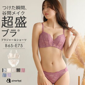 【セール 特別価格】ブラジャー ショーツ セット 総レース 超盛ブラ(R) ブラジャー&ショーツ(下着 レディース 脇高ブラ 盛ブラ 女性 脇肉 脇高 背肉 谷間 可愛い ブラショーツ ブラセット セクシー 超盛りブラ レース 花柄 フラワー柄 パンティー スッキリ 上下 盛り レース