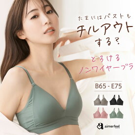 【セール 22％OFF】ブラジャー とろける ノンワイヤー 単品ブラジャー(下着 女性 レディース ブラ 単品 ワイヤレスブラ かわいい下着 ランジェリー 可愛い ブラトップ インナー 締めつけ 楽 楽ちん 旅行 リラックス 低反発パッド シームレス リラックスブラ ワイヤレス シー