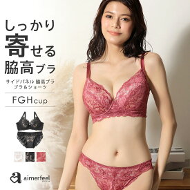 【セール 30％OFF】大きいサイズ ブラジャー ショーツ セット サイドパネル 脇高ブラ ブラジャー&ショーツ(FGHカップ)(下着 レディース 脇肉 脇高 背肉 セクシー 女性 ブラセット 谷間 ブラショーツ ブラショーツセット 補正下着 レース ランジェリー グラマー 可愛い下着