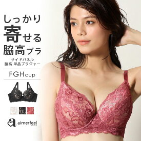 【セール 31％OFF】大きいサイズ サイドパネル 脇高ブラ 単品ブラジャー (FGHカップ)(下着 レディース ブラ 女性 脇肉 脇高 背肉 レース セクシー 単品 インナー 谷間 補正ブラ 花柄 Gカップ Fカップ Hカップ ランジェリー 背中 スッキリ 補正下着 グラマー 大きい ブラジャ