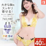 【本日限定40%OFFクーポン】アドミレフラワー カシュクールレース脇高ブラ(R) ブラジャー&ショーツ (FGH…