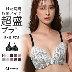 福B【クーポンで半額】盛りブラ 総レース 超盛ブラ(R) 単品ブラジャー(下着 レディース 女性 盛ブラ 谷間 脇高 脇肉 背肉 補正 脇高ブラ セクシー 単品 ブラ 下着 ランジェリー 超盛りブラ かわいい レース 花柄 スッキリ ブラジャー 可愛い下着 可愛い 盛り 補正ブラ