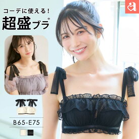 福A【新商品★P20倍】ブラジャー シアーチェック ハーフカップ 超盛ブラ(R) 単品ブラジャー(下着 レディース 女性 盛りブラ 谷間 2WAY リボン ワイヤレス ストラップレスブラ 超盛 寄せ 上げ 盛ブラ 単品 ブラ 超盛りブラ フリル 盛れる かわいい下着)